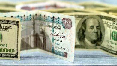 سعر الدولار مقابل الجنيه المصري